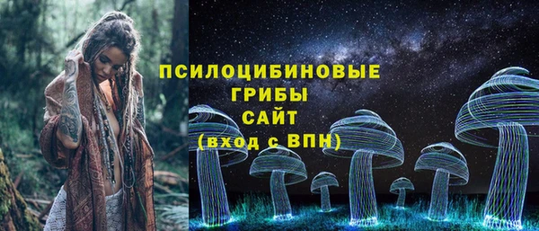 2c-b Алексин