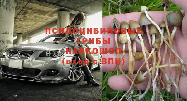 2c-b Алексин