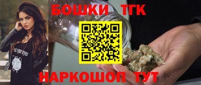 скорость Гатчина