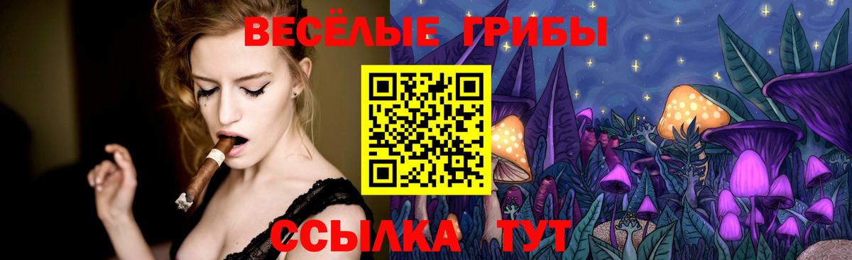 Котовск  Псилоцибиновые грибы ЛСД  Вход с VPN 